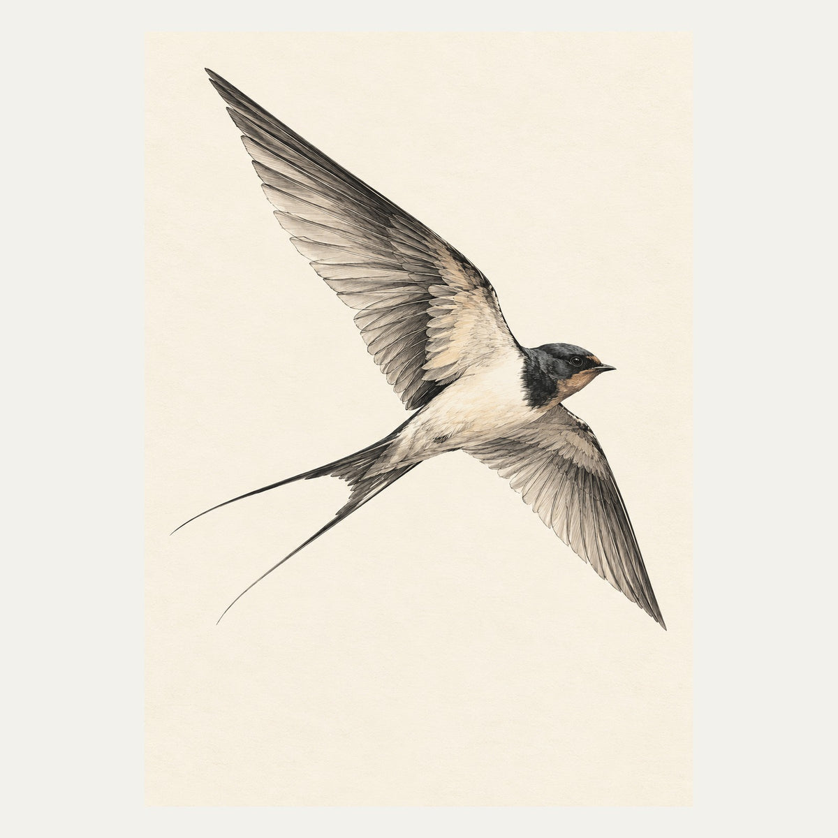 Swallow in Flight, portrait minimalist wall art