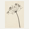 Botanical Seed Head, portrait minimalist wall art