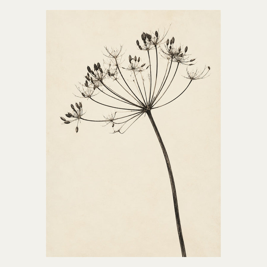 Botanical Seed Head, portrait minimalist wall art