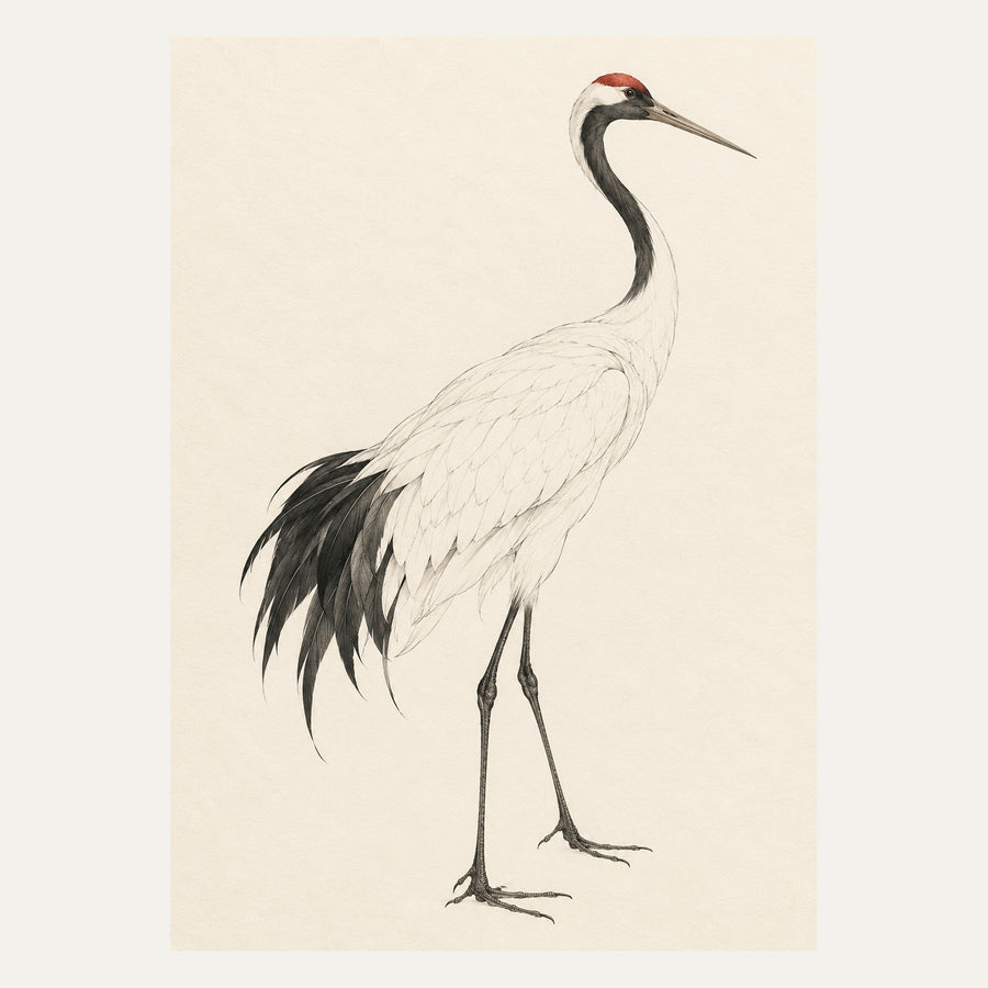 Elegant Crane Bird, portrait minimalist wall art